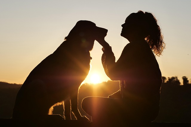 relationship counseling Gilbert