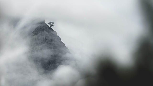remote bookkeeping cloud