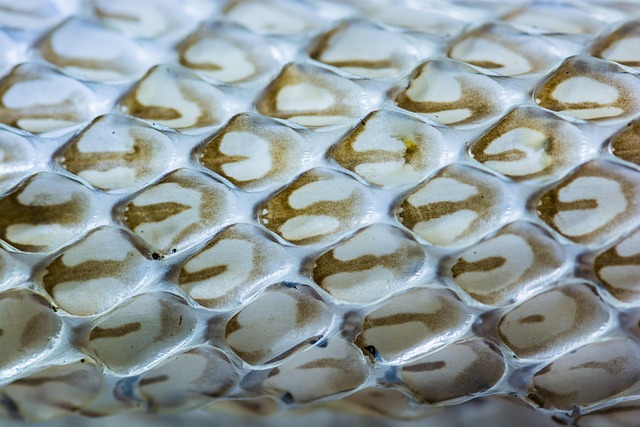 RF Skin Resurfacing