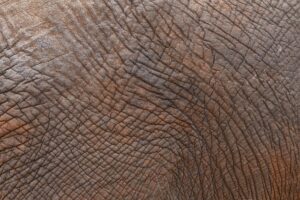 Advanced RF Skin Resurfacing: Unlocking Transformation for Better Skin