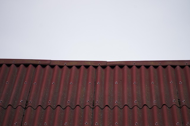 roof coatings company
