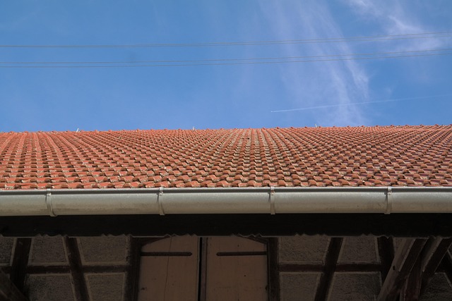 roof coatings contractor