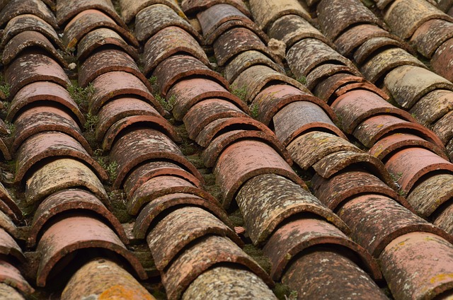roof coatings services