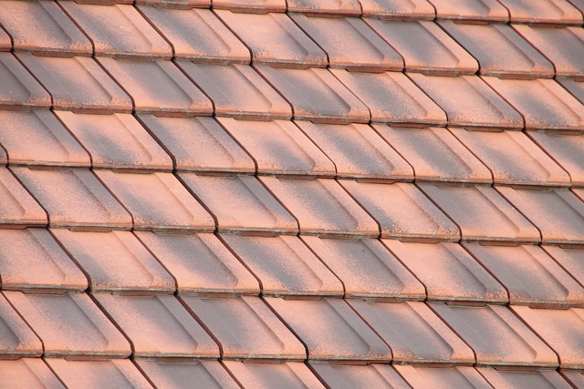 roof coatings services