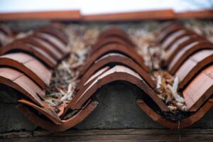 Revitalize Your Roof: Restoration Services for Aging Structures