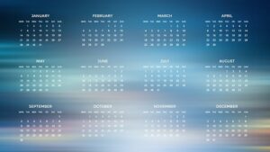 Mastering Organization Structured Data: Enhance Brand Understanding
