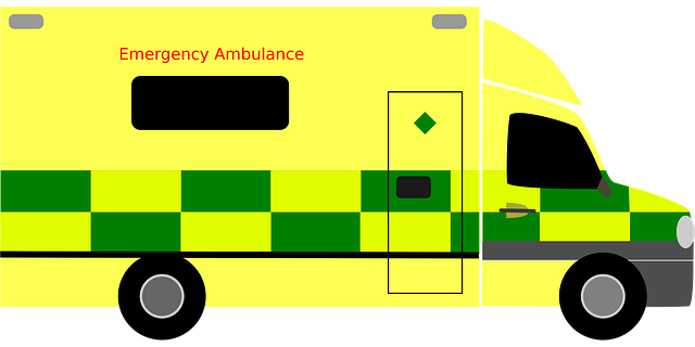 Schema for Medical Services