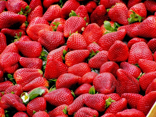 semaglutide diet program