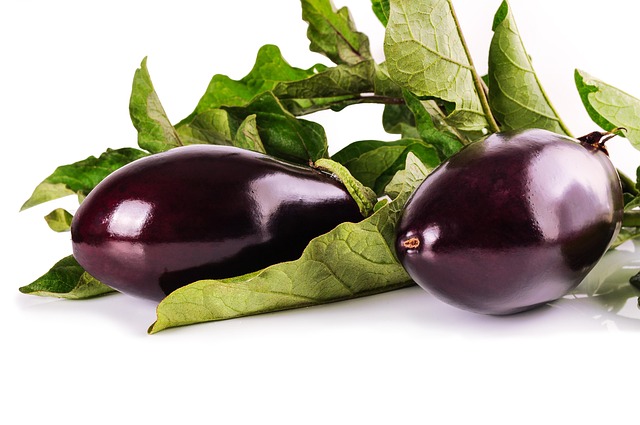 semaglutide diet program