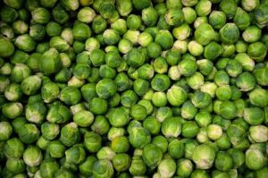 Long-term Weight Management with Semaglutide: A Comprehensive Guide