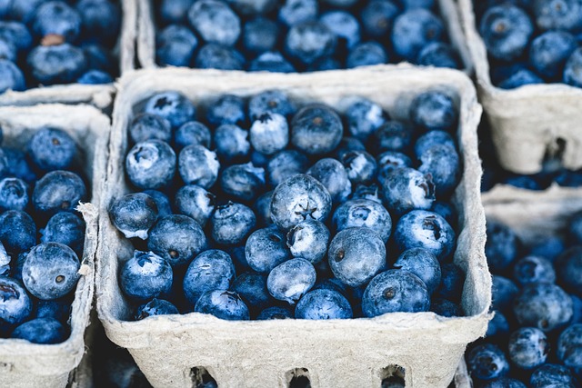 semaglutide diet program