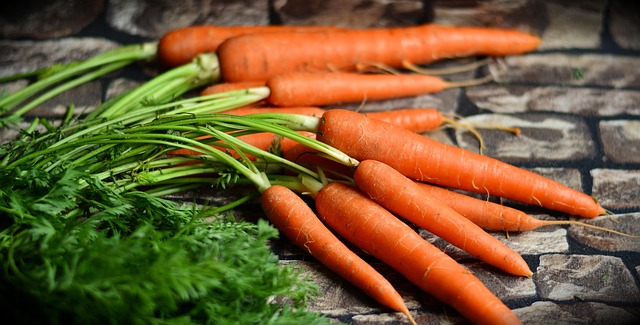 semaglutide diet program