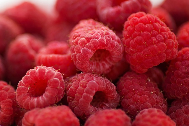 semaglutide diet program
