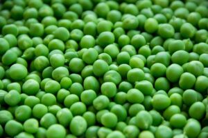 Optimizing Semaglutide Dosages for Effective Diet Program Results