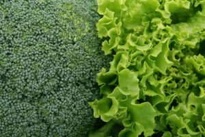Comprehensive Semaglutide Weight Management: Diet Program and Future Innovations