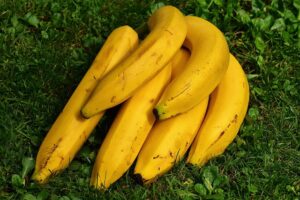 Personalized Semaglutide Diet Programs: Effective Weight Loss Scheduling