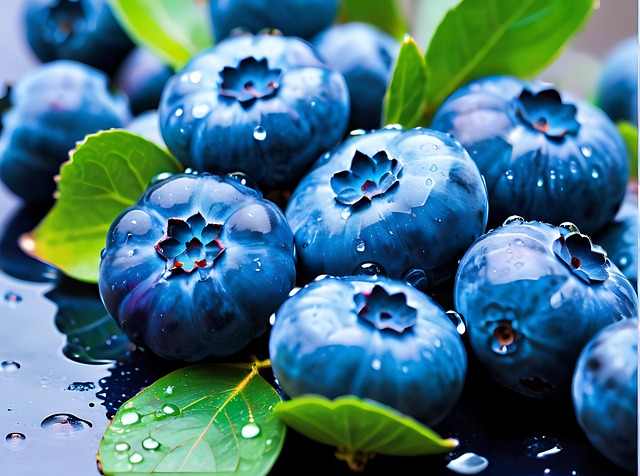 semaglutide diet program