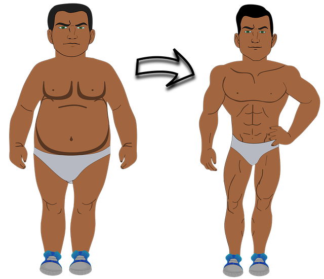 semaglutide obesity medication
