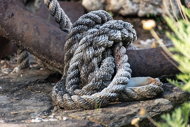 semantic anchor text