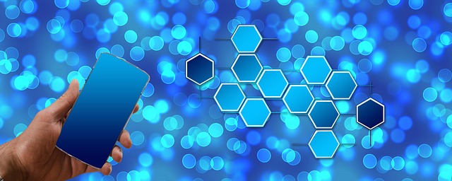 SEO Certification Program