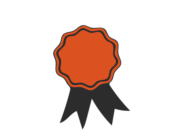 SEO Certification Program