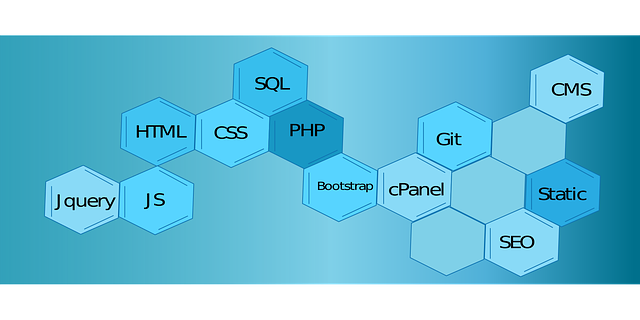 SEO Certification Program