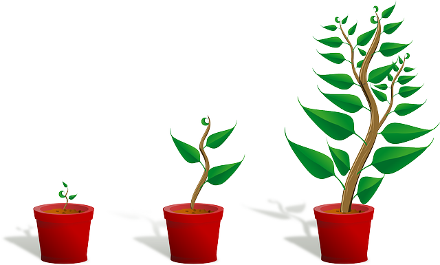 SEO content development