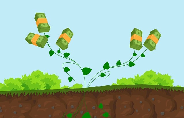 SEO Growth Strategies