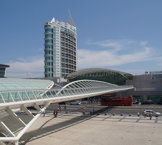 SEO insights expo