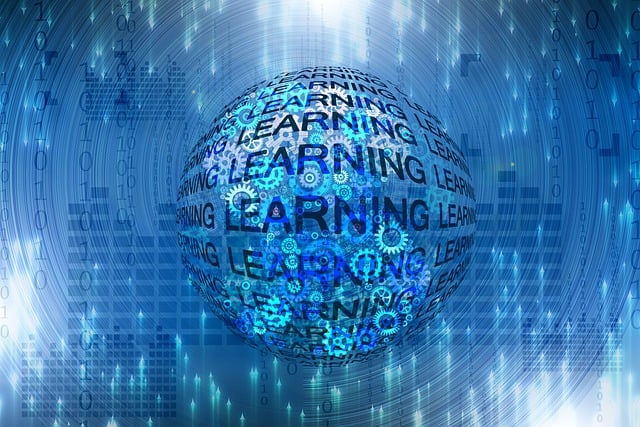 SEO Online Training