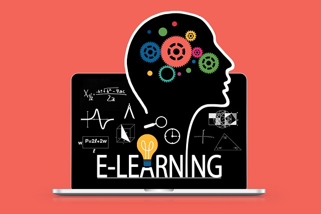 SEO Online Training