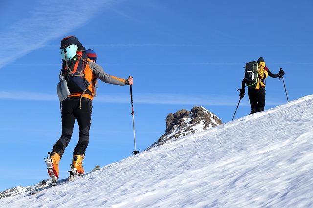 SEO Summit