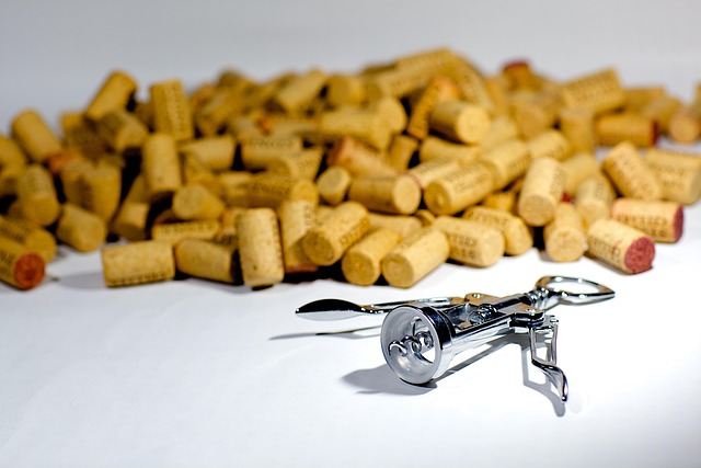 SEO Tools for Tracking