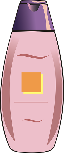 shampoo carpet service