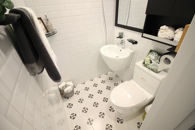 shampoo carpet service