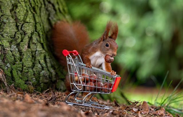 shopping cart design