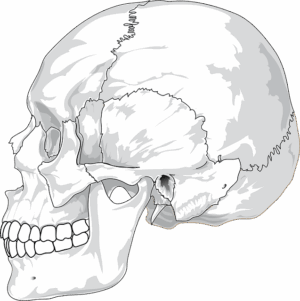 Comparing Semaglutide Formulations: Side Effects and Patient Preferences