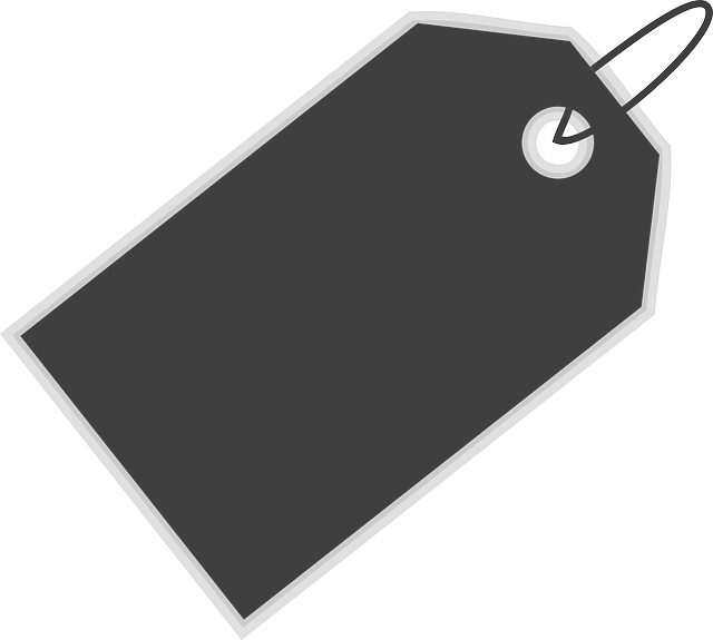 Sitelinks Schema Tag