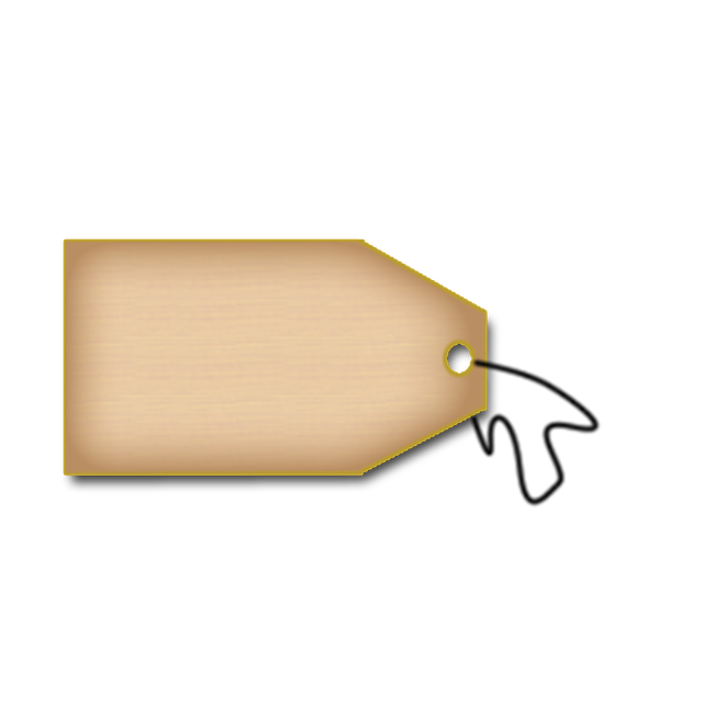 Sitelinks Schema Tag