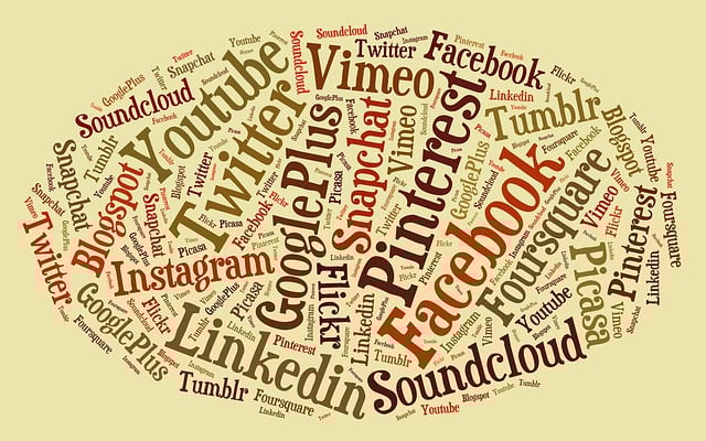 Sitelinks Schema Tag