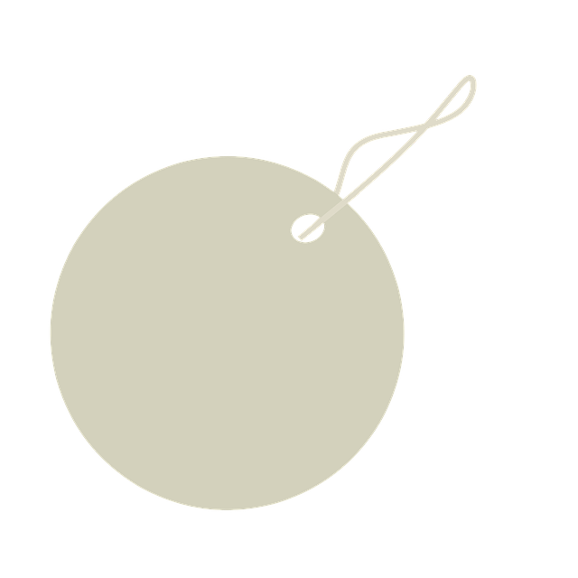 Sitelinks Schema Tag