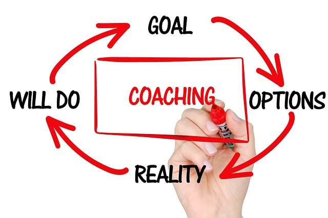 Small Business SEO Training