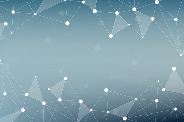 small business web design