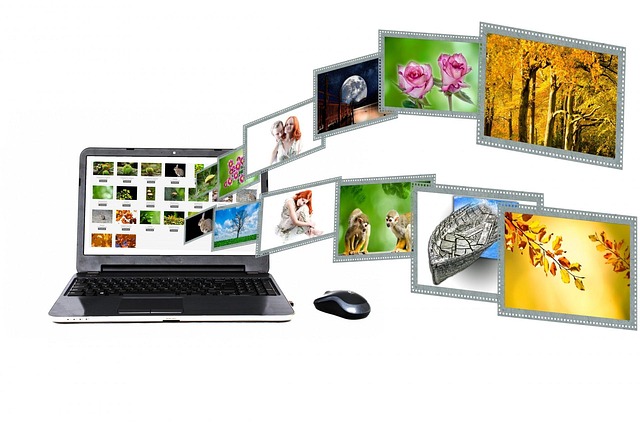 small business website design