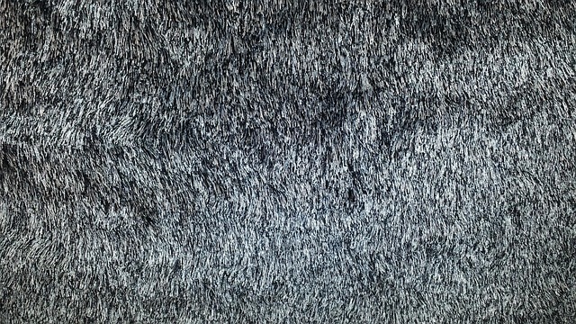 soft carpet shampooing