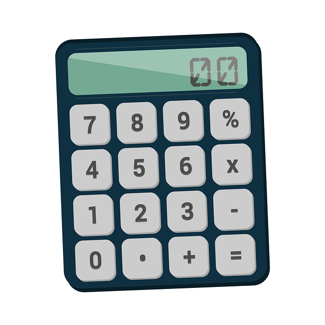 software support accounting