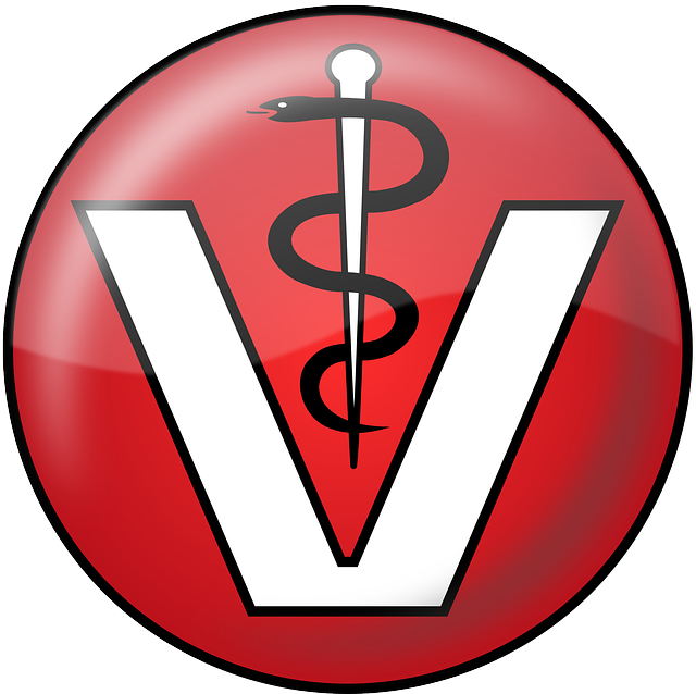 staff injury insurance medical