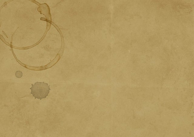stain removal carpet cleaners
