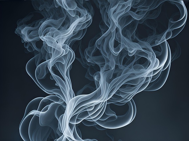 steam carpet cleaners Chandler