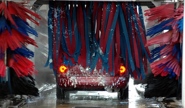 steam clean carpet service